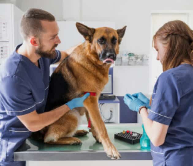 ecofine-hten-project4